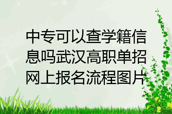 中专可以查学籍信息吗武汉高职单招网上报名流程图片