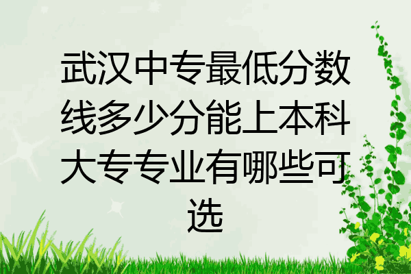 武汉中专最低分数线多少分能上本科大专专业有哪些可选