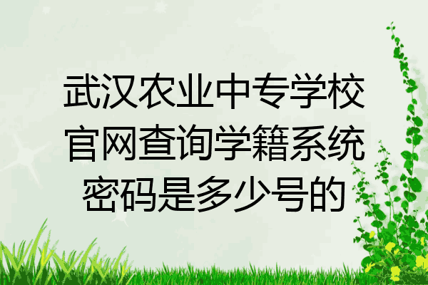 武汉农业中专学校官网查询学籍系统密码是多少号的
