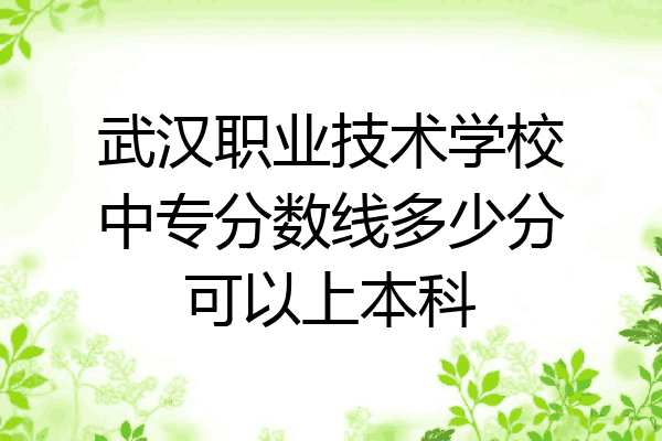 武汉职业技术学校中专分数线多少分可以上本科