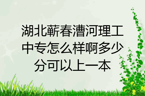 湖北蕲春漕河理工中专怎么样啊多少分可以上一本