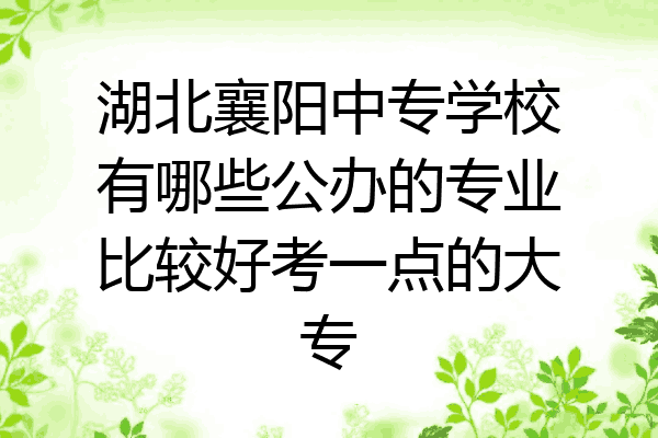 湖北襄阳中专学校有哪些公办的专业比较好考一点的大专