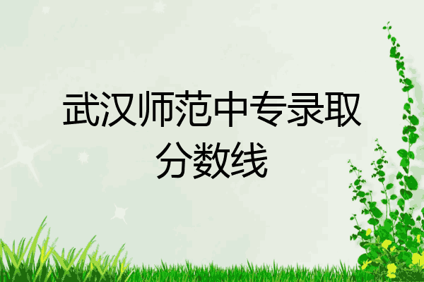 武汉师范中专录取分数线