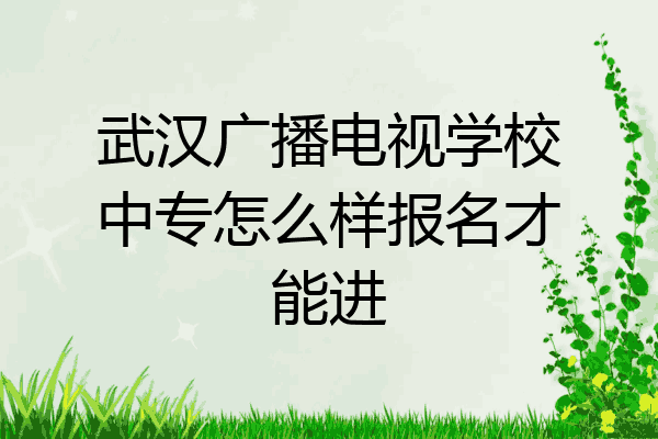 武汉广播电视学校中专怎么样报名才能进