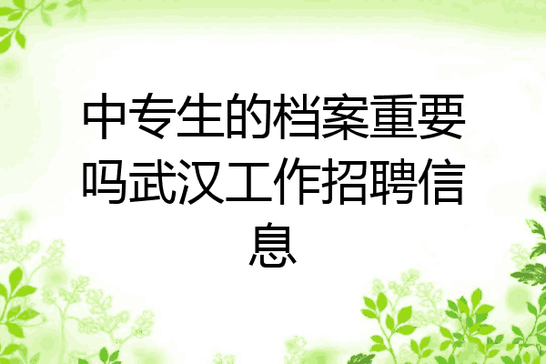 中专生的档案重要吗武汉工作招聘信息