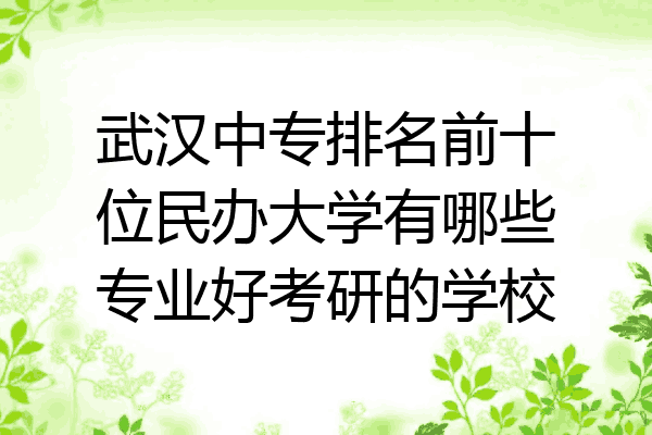 武汉中专排名前十位民办大学有哪些专业好考研的学校