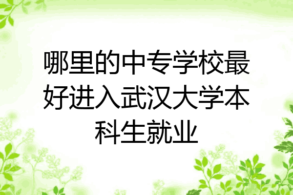 哪里的中专学校最好进入武汉大学本科生就业