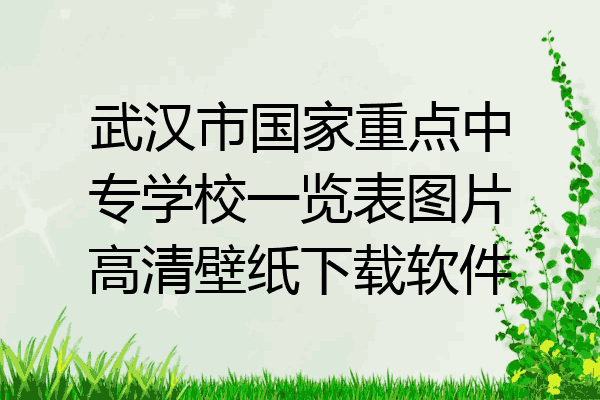 武汉市国家重点中专学校一览表图片高清壁纸下载软件