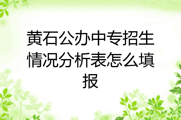 黄石公办中专招生情况分析表怎么填报