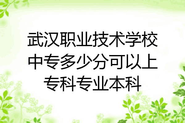 武汉职业技术学校中专多少分可以上专科专业本科