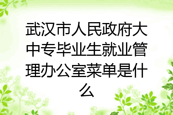 武汉市人民政府大中专毕业生就业管理办公室菜单是什么