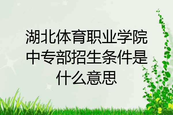 湖北体育职业学院中专部招生条件是什么意思