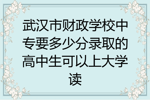 武汉市财政学校中专要多少分录取的高中生可以上大学读