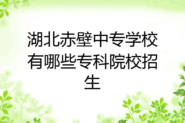 湖北赤壁中专学校有哪些专科院校招生