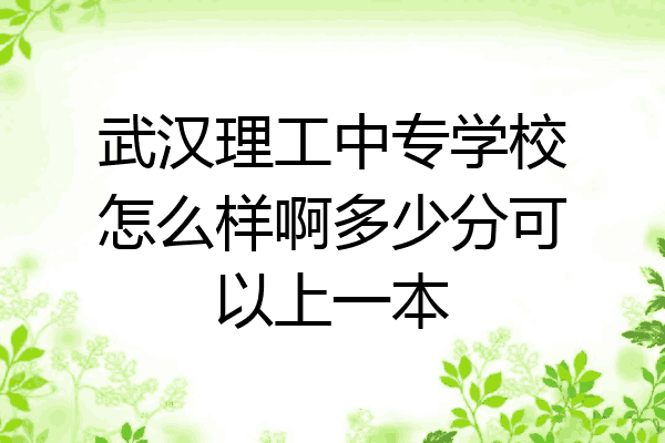 武汉理工中专学校怎么样啊多少分可以上一本
