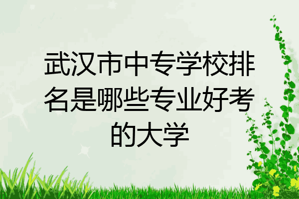 武汉市中专学校排名是哪些专业好考的大学
