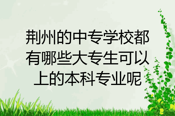 荆州的中专学校都有哪些大专生可以上的本科专业呢