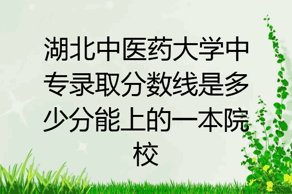 湖北中医药大学中专录取分数线是多少分能上的一本院校