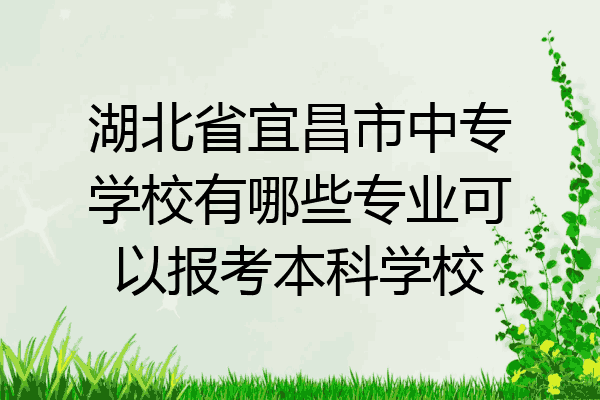 湖北省宜昌市中专学校有哪些专业可以报考本科学校