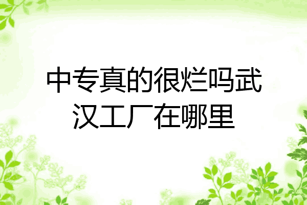 中专真的很烂吗武汉工厂在哪里