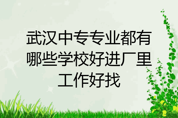 武汉中专专业都有哪些学校好进厂里工作好找