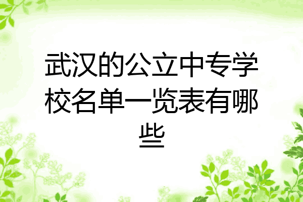 武汉的公立中专学校名单一览表有哪些