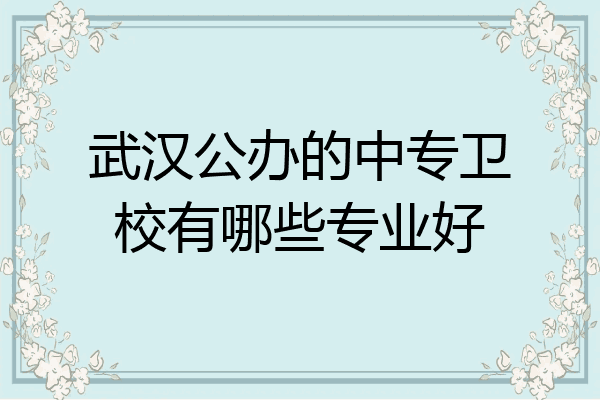 武汉公办的中专卫校有哪些专业好