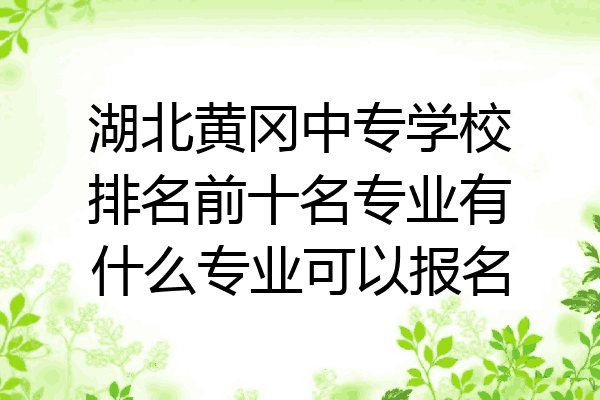 湖北黄冈中专学校排名前十名专业有什么专业可以报名