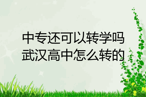 中专还可以转学吗武汉高中怎么转的
