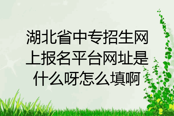 湖北省中专招生网上报名平台网址是什么呀怎么填啊