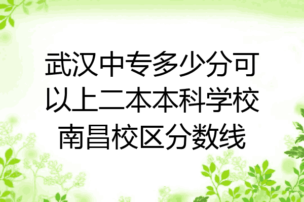 武汉中专多少分可以上二本本科学校南昌校区分数线