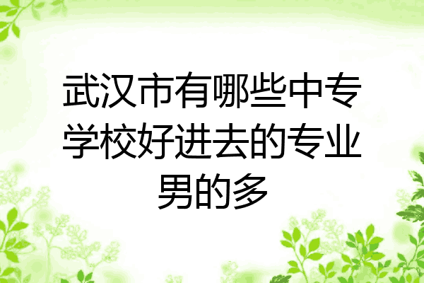 武汉市有哪些中专学校好进去的专业男的多