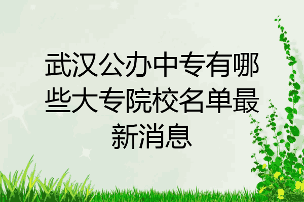 武汉公办中专有哪些大专院校名单最新消息