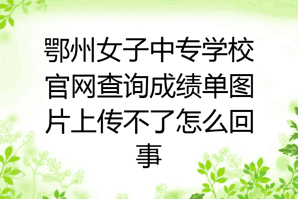 鄂州女子中专学校官网查询成绩单图片上传不了怎么回事
