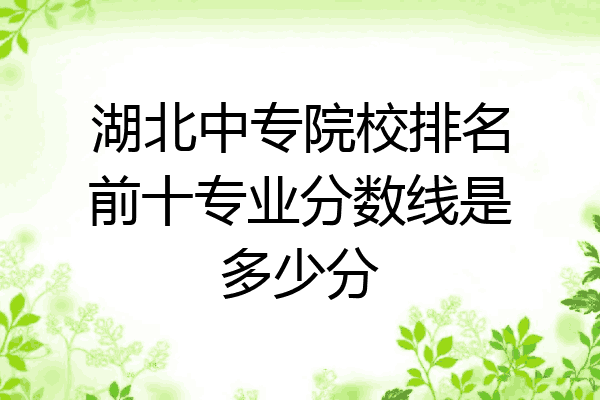 湖北中专院校排名前十专业分数线是多少分