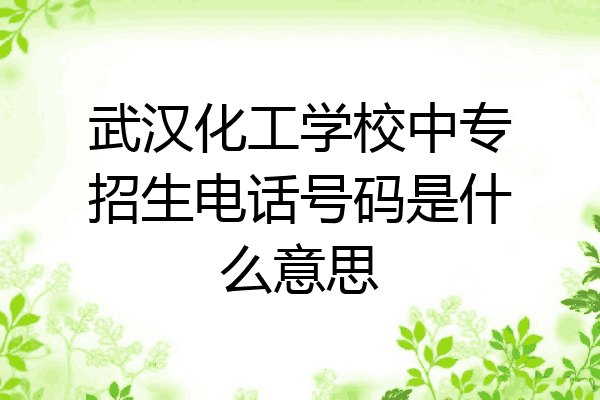 武汉化工学校中专招生电话号码是什么意思