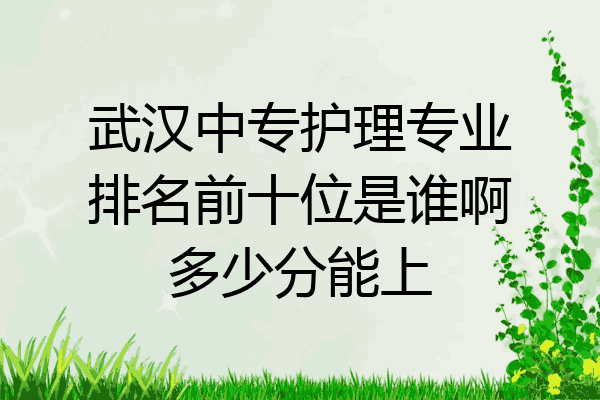 武汉中专护理专业排名前十位是谁啊多少分能上