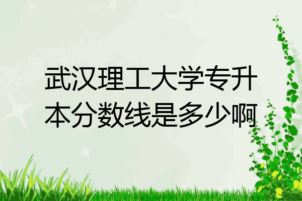 武汉理工大学专升本分数线是多少啊