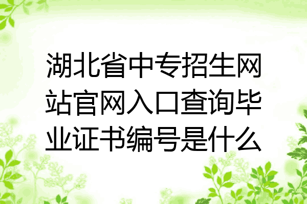 湖北省中专招生网站官网入口查询毕业证书编号是什么
