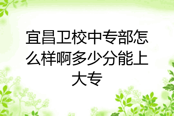 宜昌卫校中专部怎么样啊多少分能上大专