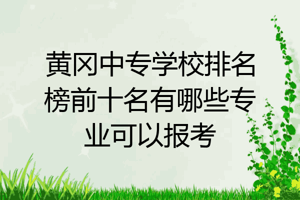 黄冈中专学校排名榜前十名有哪些专业可以报考