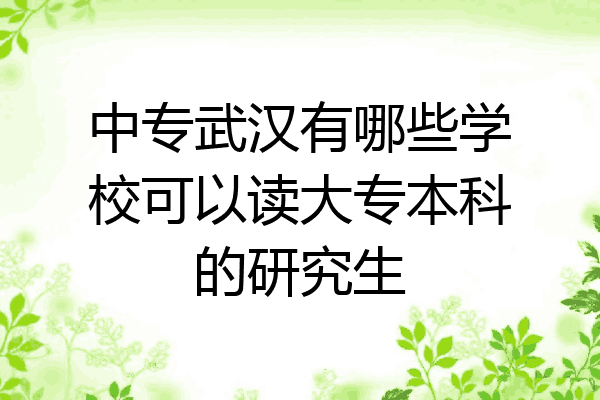中专武汉有哪些学校可以读大专本科的研究生