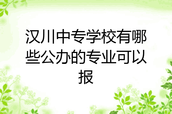 汉川中专学校有哪些公办的专业可以报