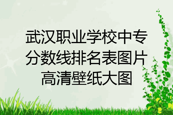 武汉职业学校中专分数线排名表图片高清壁纸大图
