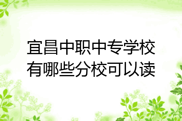 宜昌中职中专学校有哪些分校可以读