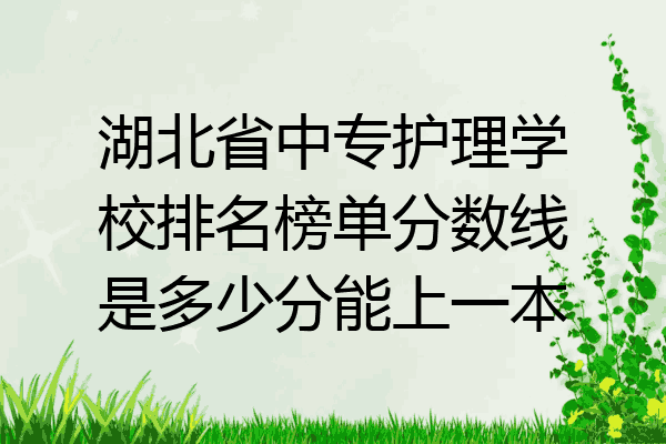 湖北省中专护理学校排名榜单分数线是多少分能上一本