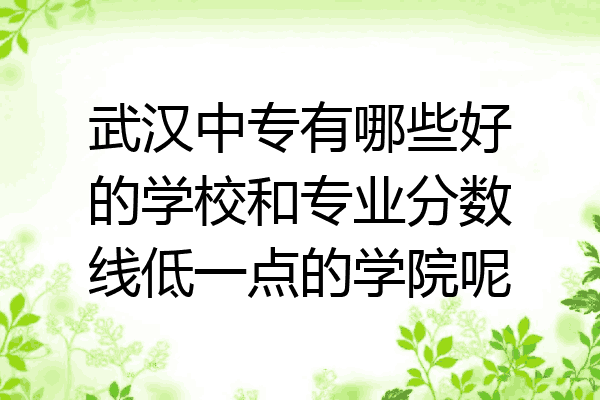武汉中专有哪些好的学校和专业分数线低一点的学院呢
