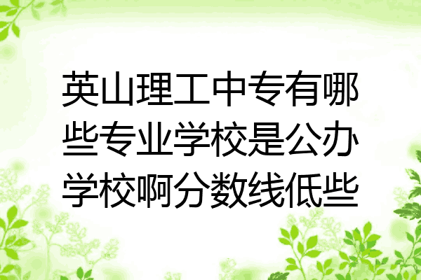 英山理工中专有哪些专业学校是公办学校啊分数线低些