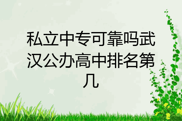 私立中专可靠吗武汉公办高中排名第几