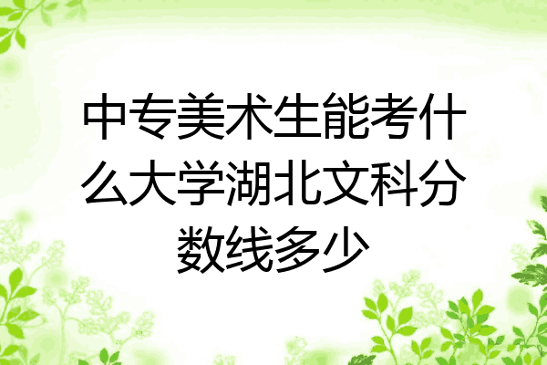 中专美术生能考什么大学湖北文科分数线多少